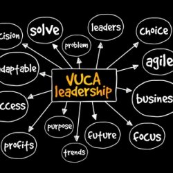 Effective VUCA Leadership - the Key to Today’s Business Success