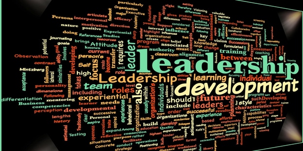 Highlighting Importance of Leadership Development Trainings