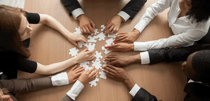 Successful organization