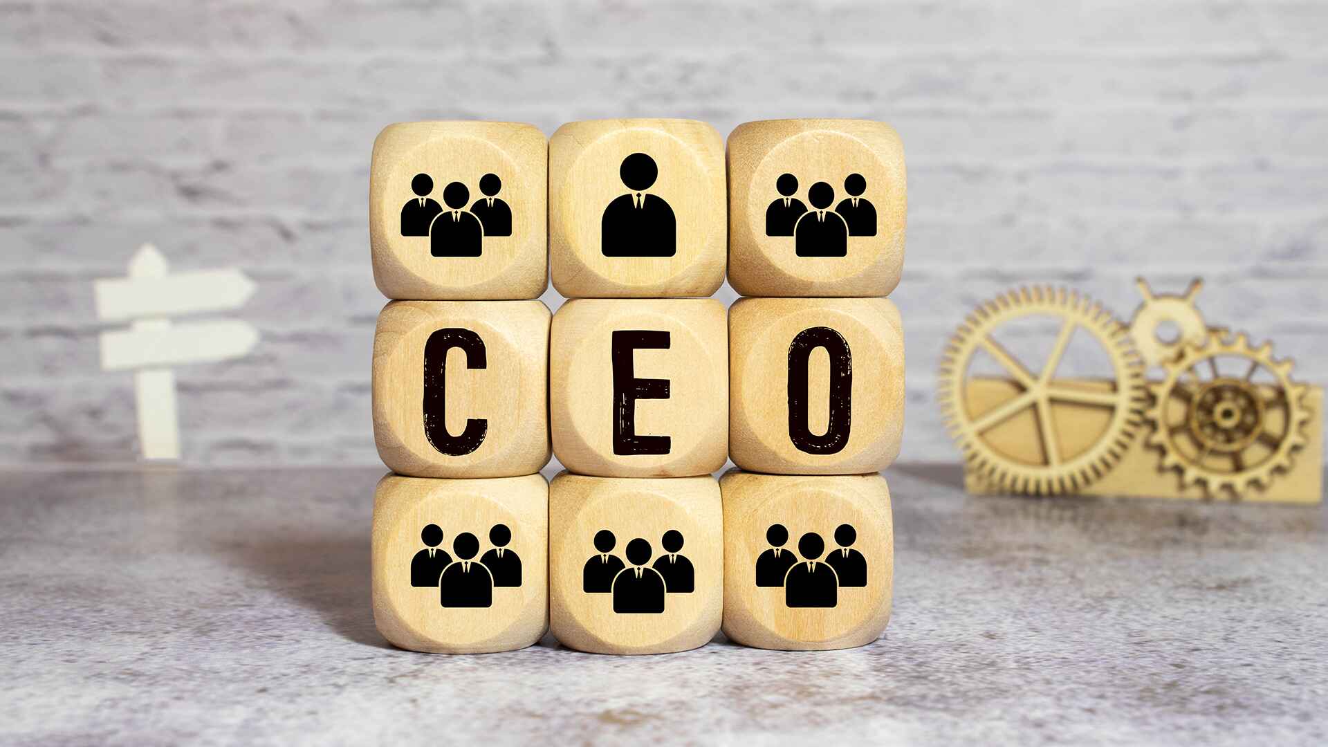 How to Choose the Best CEO Training Program?